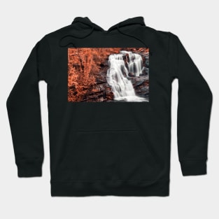 Bald Salmon River Falls Hoodie